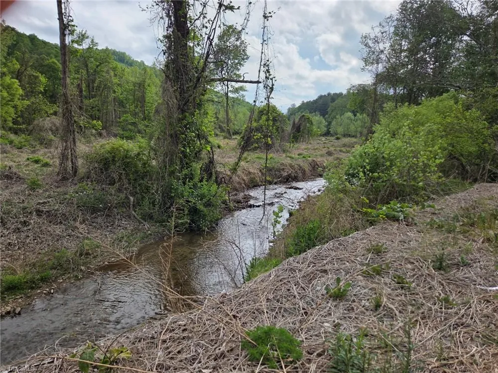 TBD Statesville Road North Wilkesboro, NC 28659