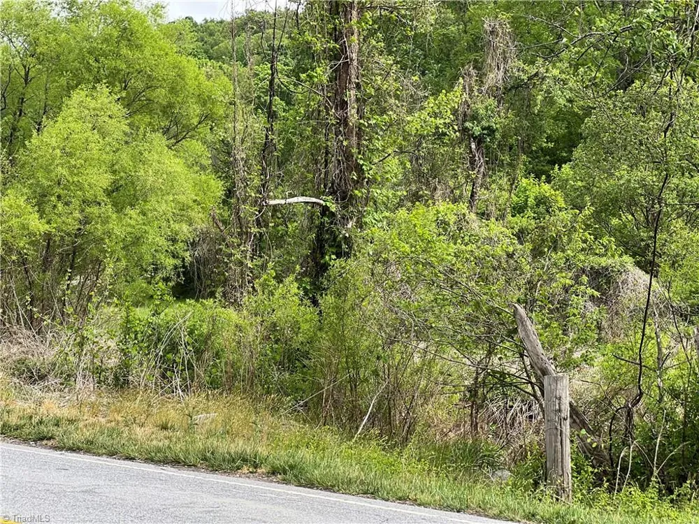 TBD Statesville Road North Wilkesboro, NC 28659