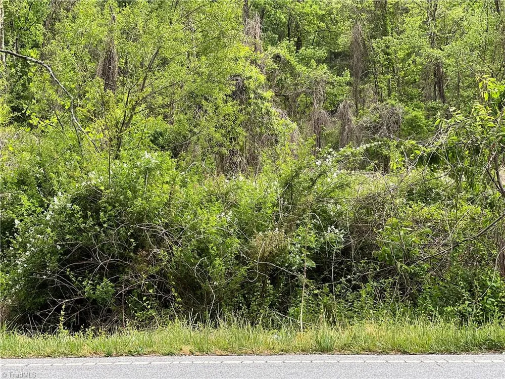 TBD Statesville Road North Wilkesboro, NC 28659
