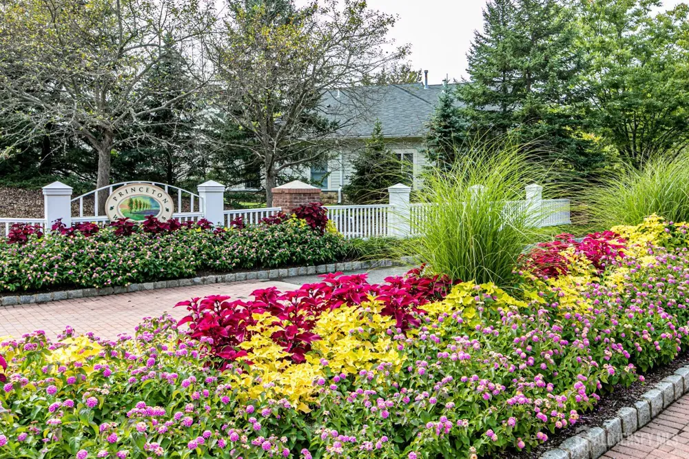 2033 Windrow Drive Middlesex, NJ 08540