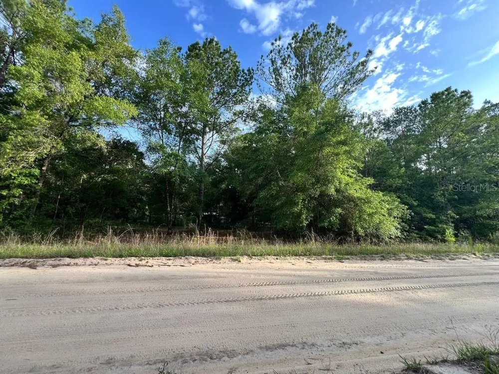 DECKER STREET LOT 12 13 Interlachen, FL 32148