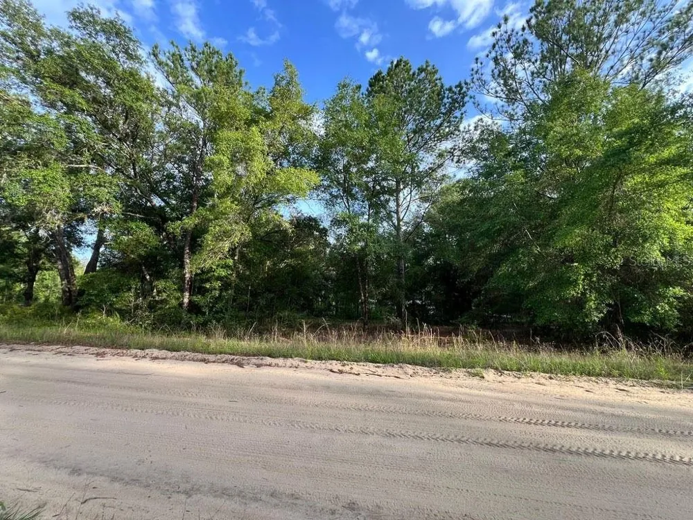 DECKER STREET LOT 12 13 Interlachen, FL 32148