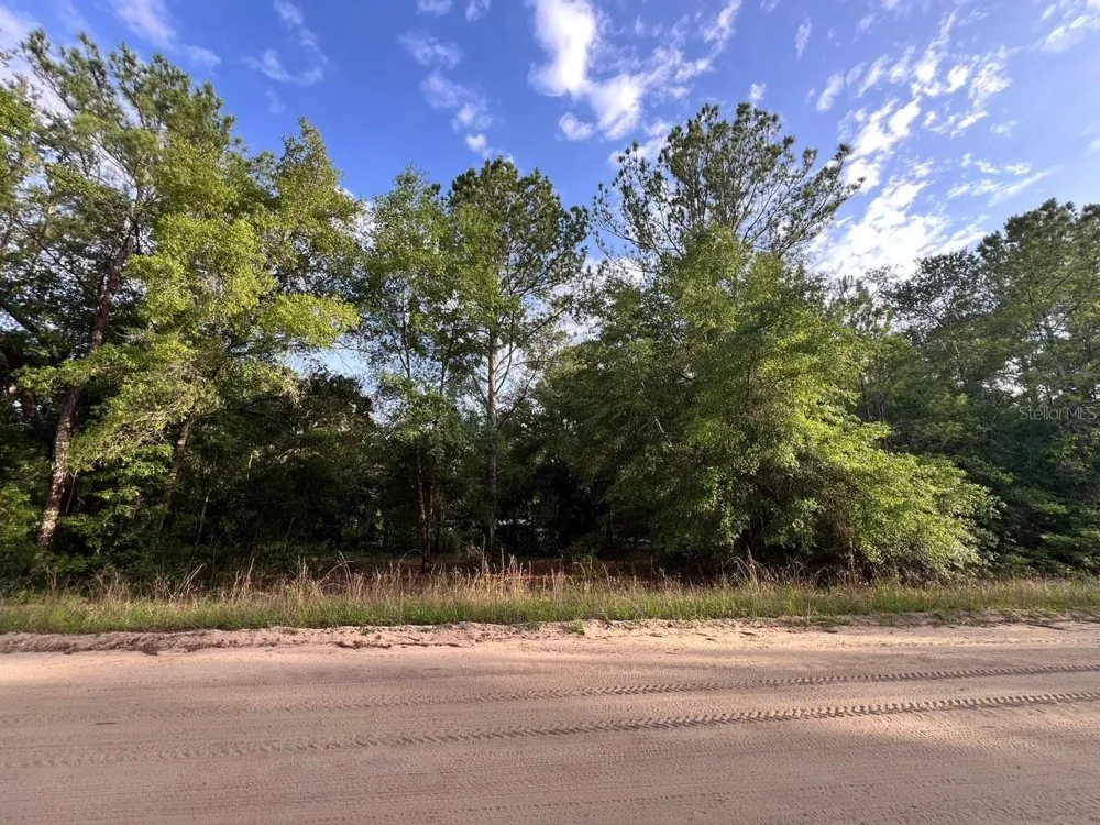DECKER STREET LOT 12 13 Interlachen, FL 32148