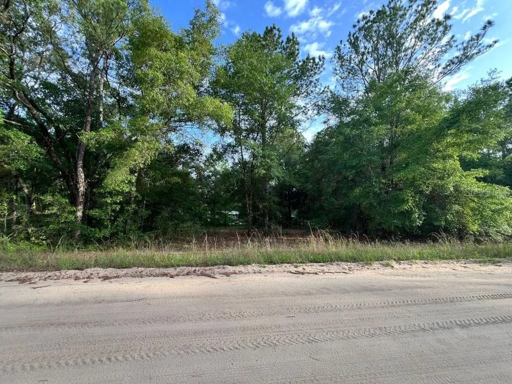 DECKER STREET LOT 12 13 Interlachen, FL 32148