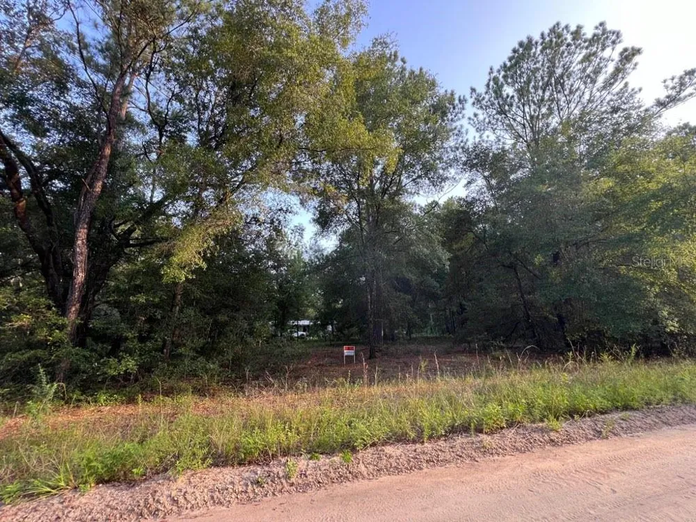 DECKER STREET LOT 12 13 Interlachen, FL 32148