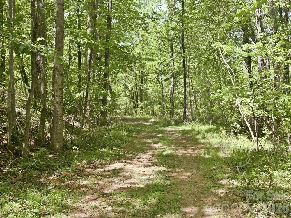 450 Washington Street Forest City, NC 28043