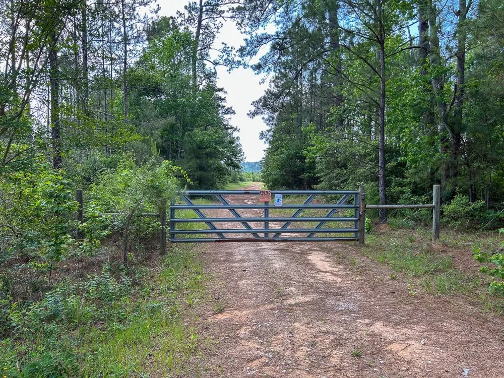 Off Fm 1277 San Augustine, TX 75972