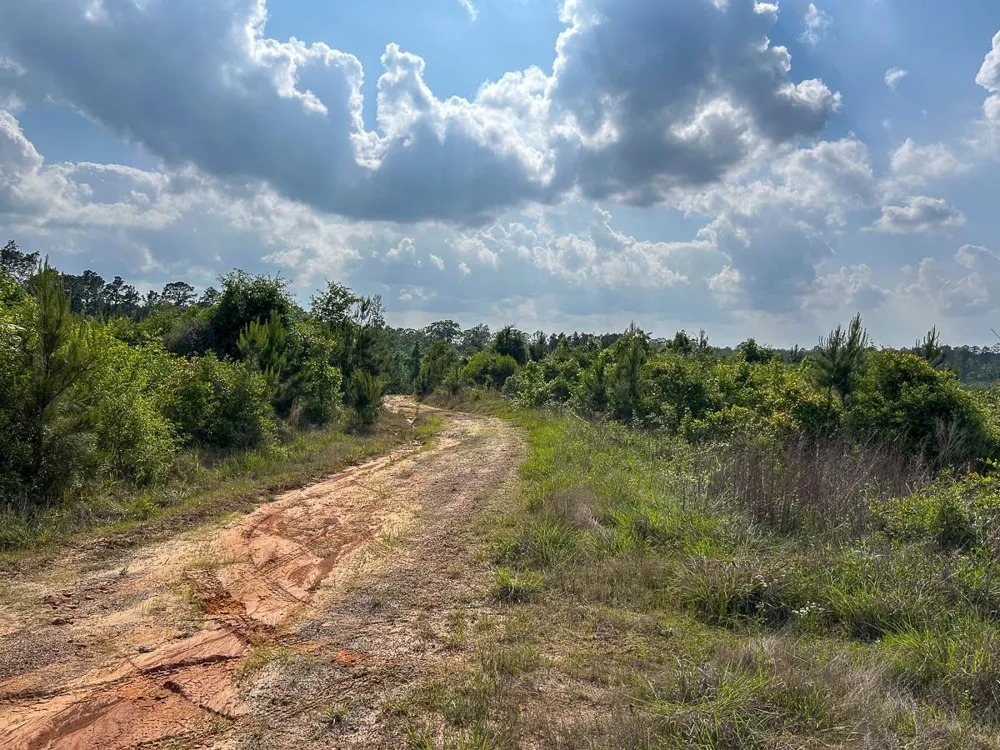Off Fm 1277 San Augustine, TX 75972