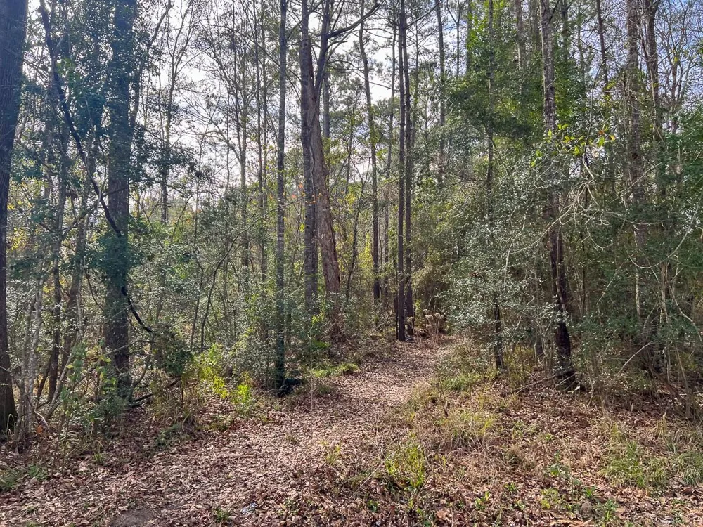 1 Lakeview Road Vidor, TX 77662