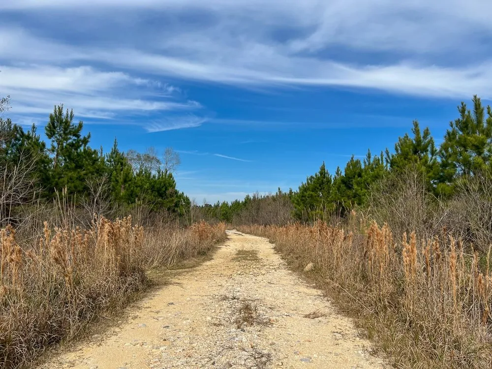 1 Lakeview Road Vidor, TX 77662