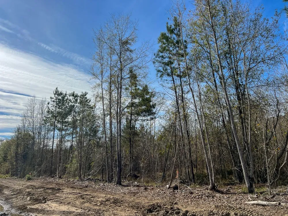 1 Lakeview Road Vidor, TX 77662