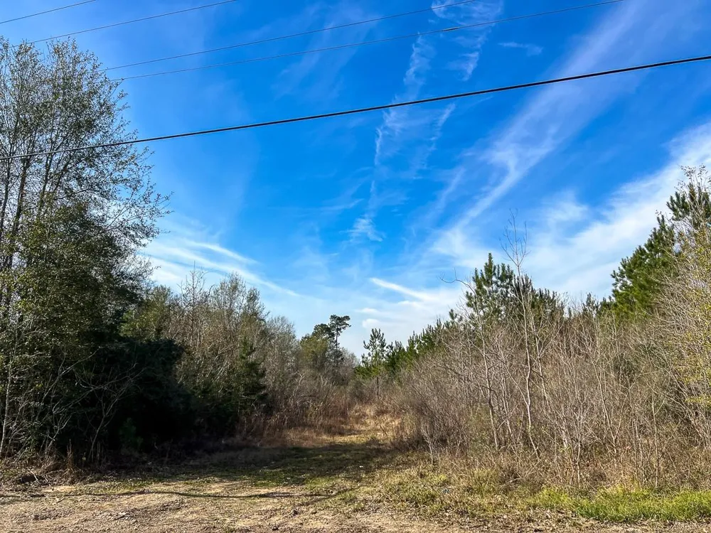 1 Lakeview Road Vidor, TX 77662