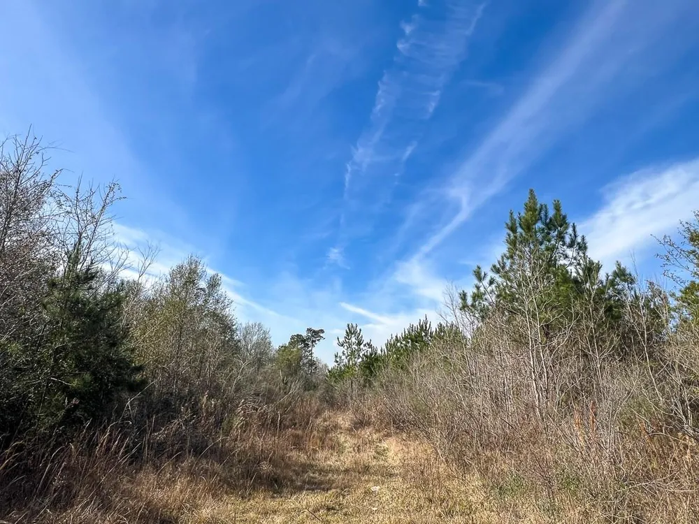 1 Lakeview Road Vidor, TX 77662