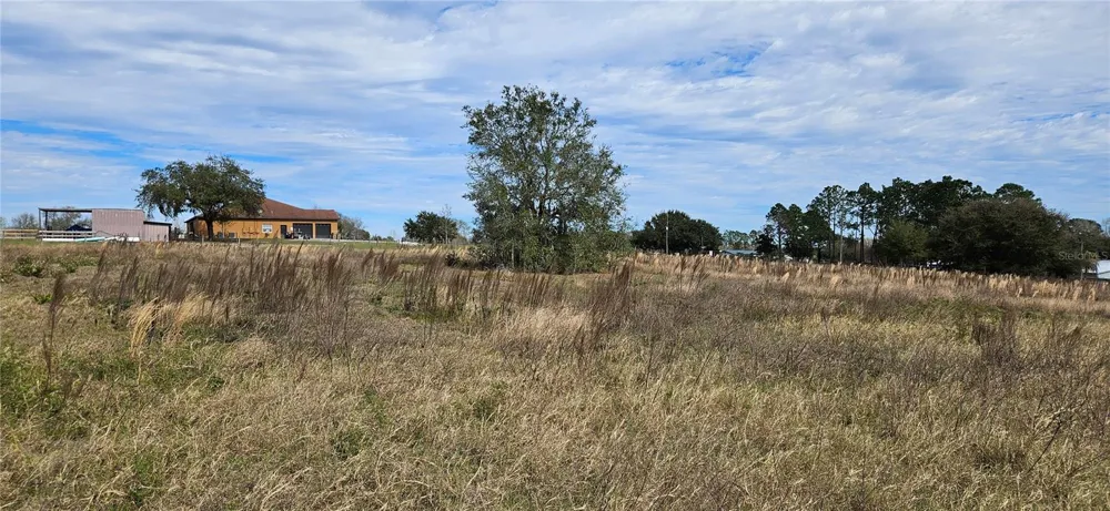 24207 TURKEY LAKE ROAD Howey In The Hills, FL 34737