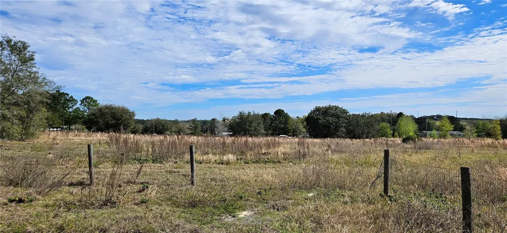 24207 TURKEY LAKE ROAD Howey In The Hills, FL 34737