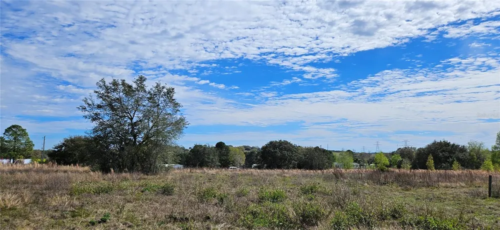 24207 TURKEY LAKE ROAD Howey In The Hills, FL 34737