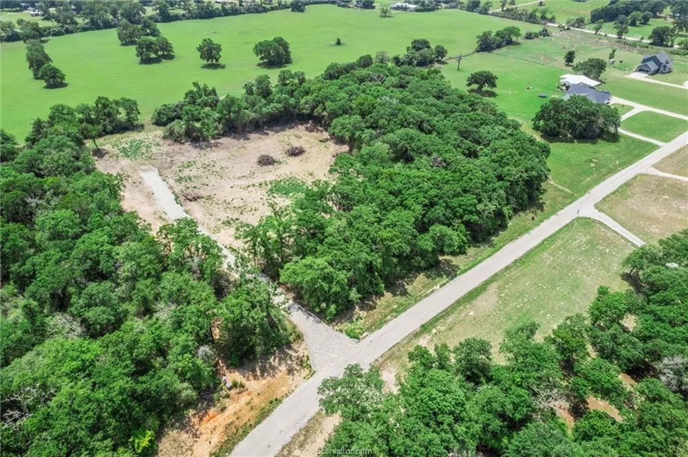 1311 Azalea Drive Franklin, TX 77856