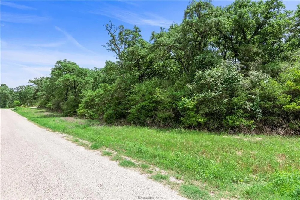 1311 Azalea Drive Franklin, TX 77856