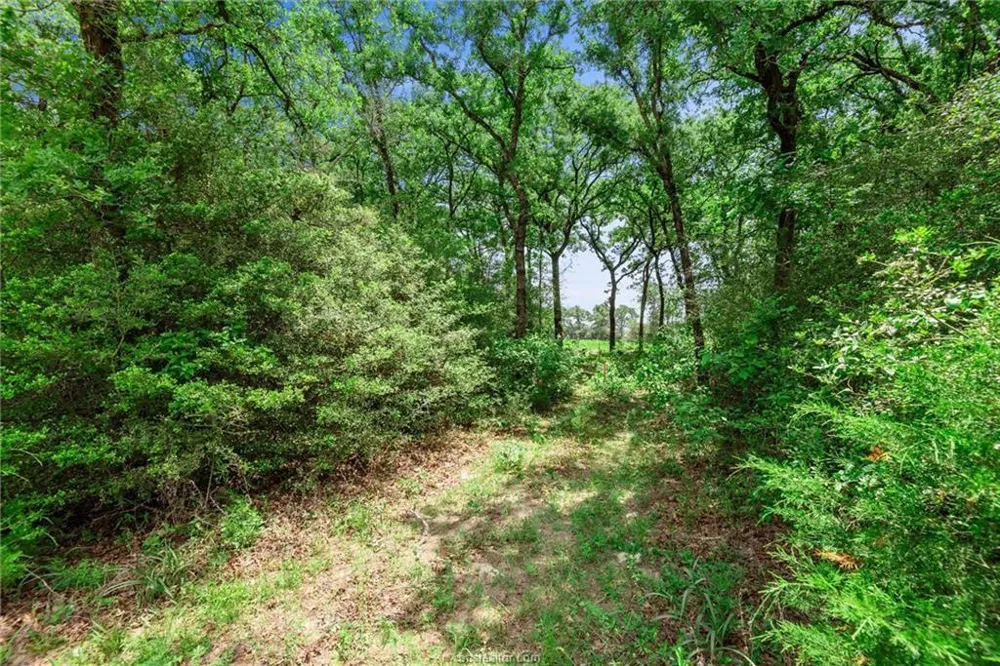 1311 Azalea Drive Franklin, TX 77856