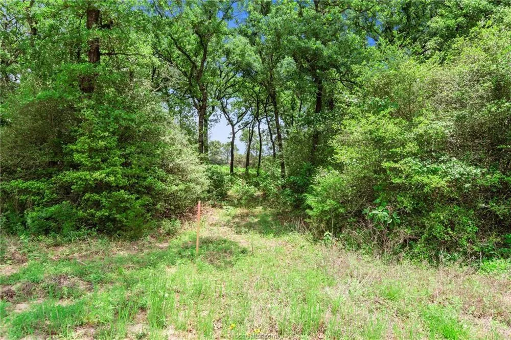 1311 Azalea Drive Franklin, TX 77856