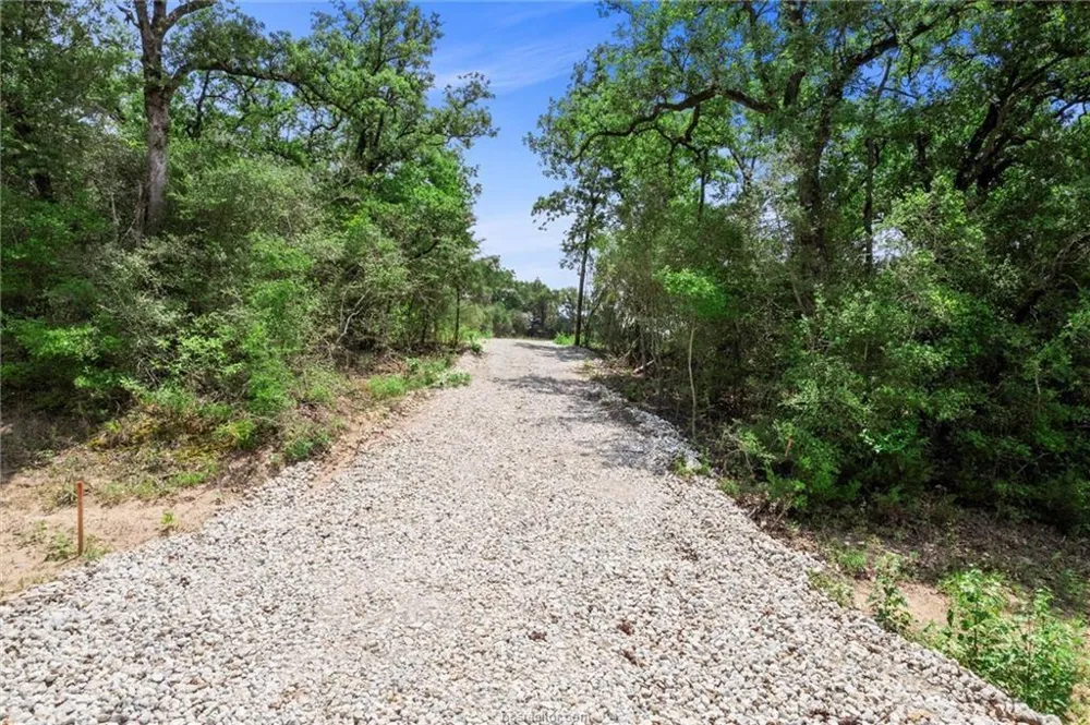 1311 Azalea Drive Franklin, TX 77856