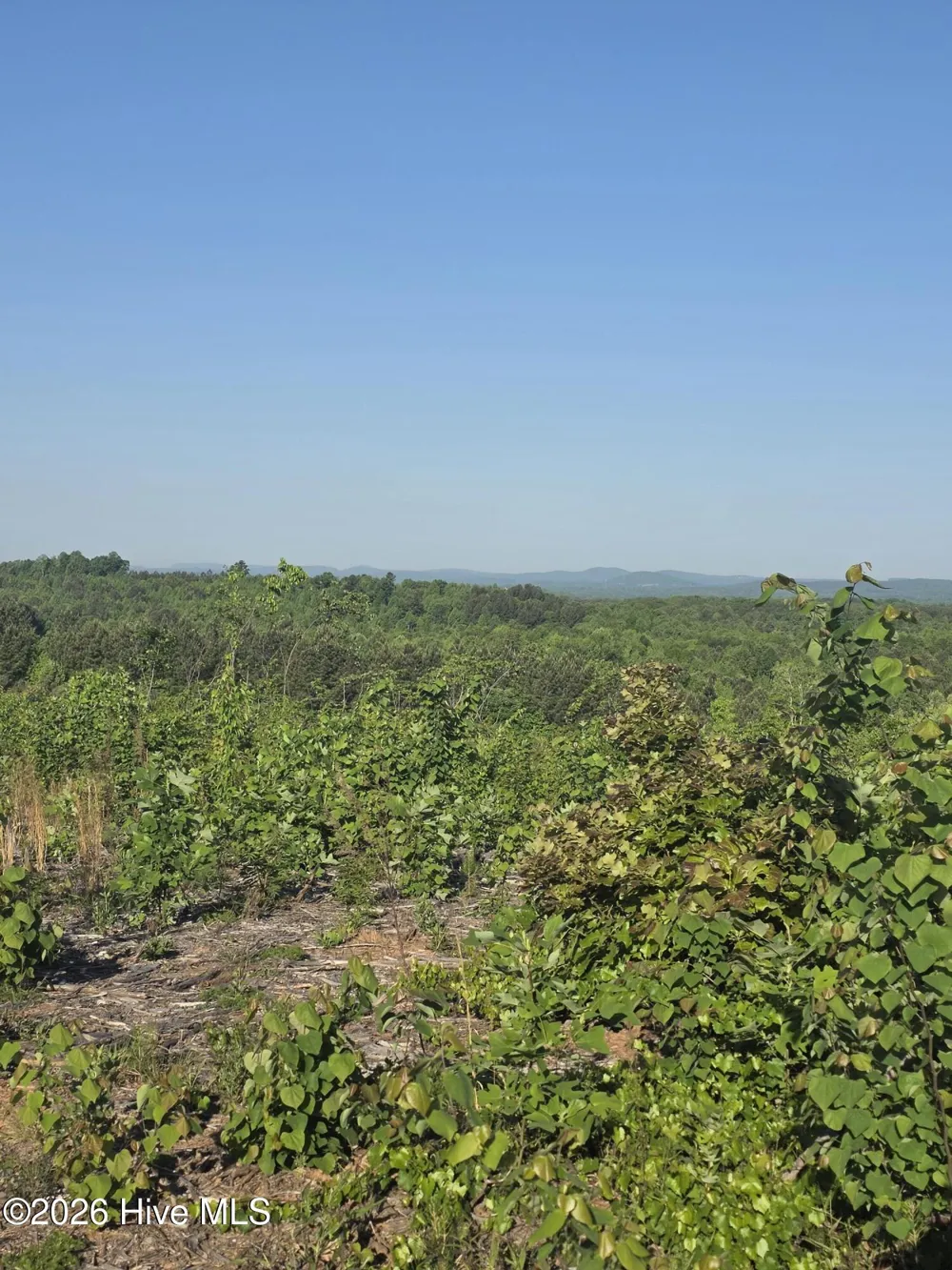 7740383679 Skeen View Road Asheboro, NC 27205