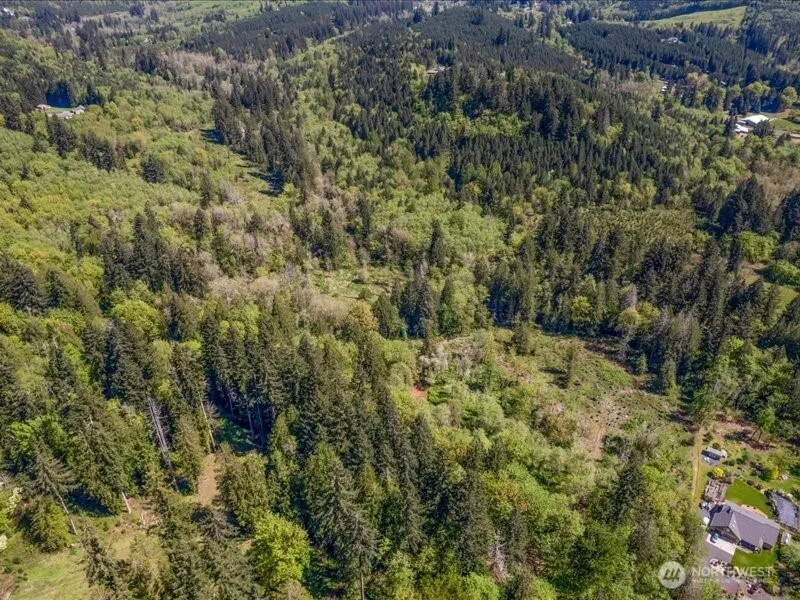 2 NE Lewisville Highway Yacolt, WA 98675