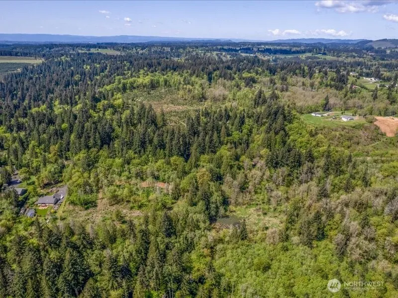 2 NE Lewisville Highway Yacolt, WA 98675