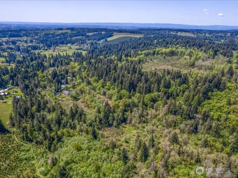 2 NE Lewisville Highway Yacolt, WA 98675