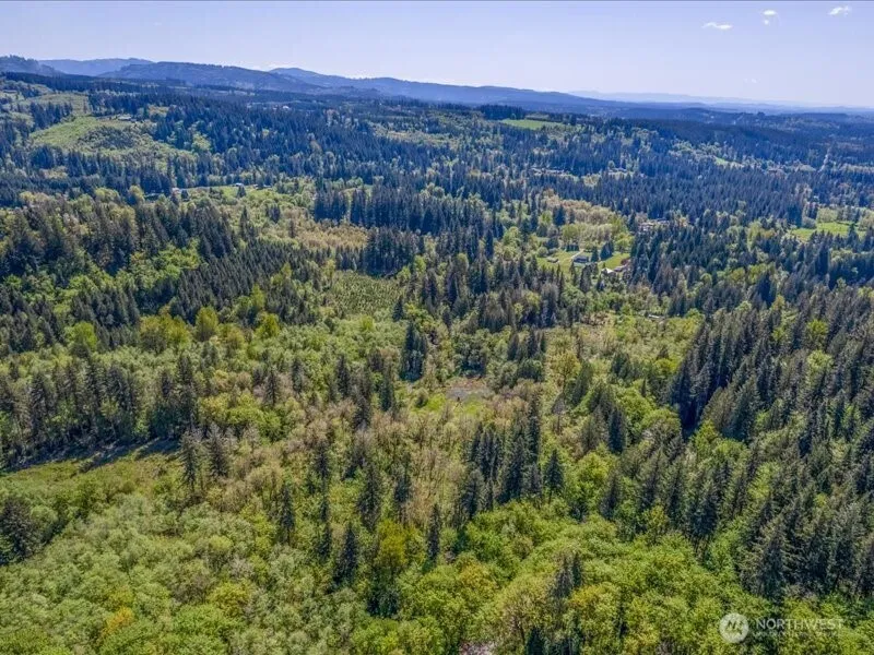 2 NE Lewisville Highway Yacolt, WA 98675
