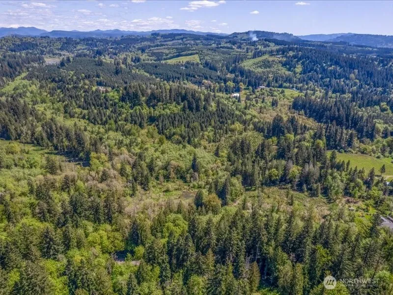 2 NE Lewisville Highway Yacolt, WA 98675