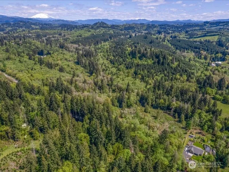 2 NE Lewisville Highway Yacolt, WA 98675
