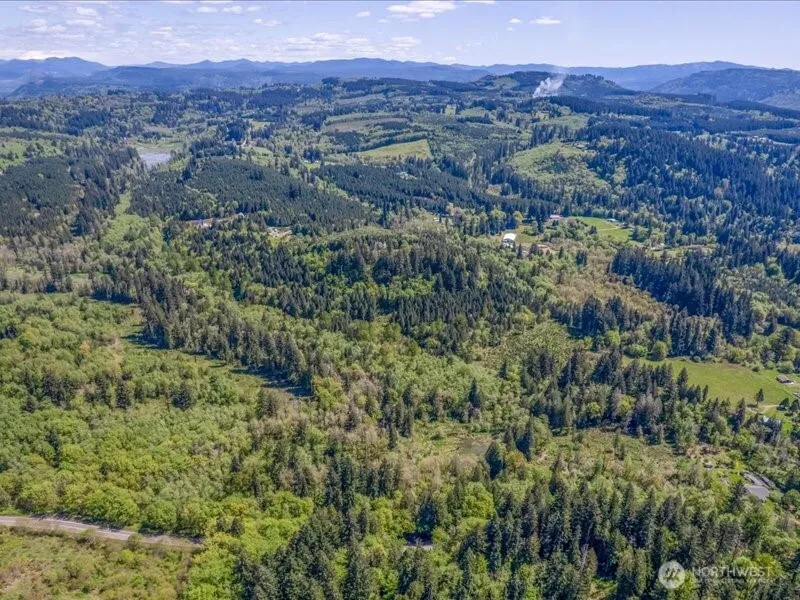 2 NE Lewisville Highway Yacolt, WA 98675