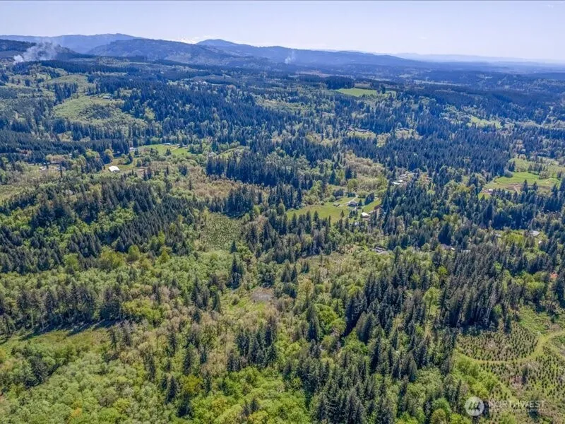 2 NE Lewisville Highway Yacolt, WA 98675
