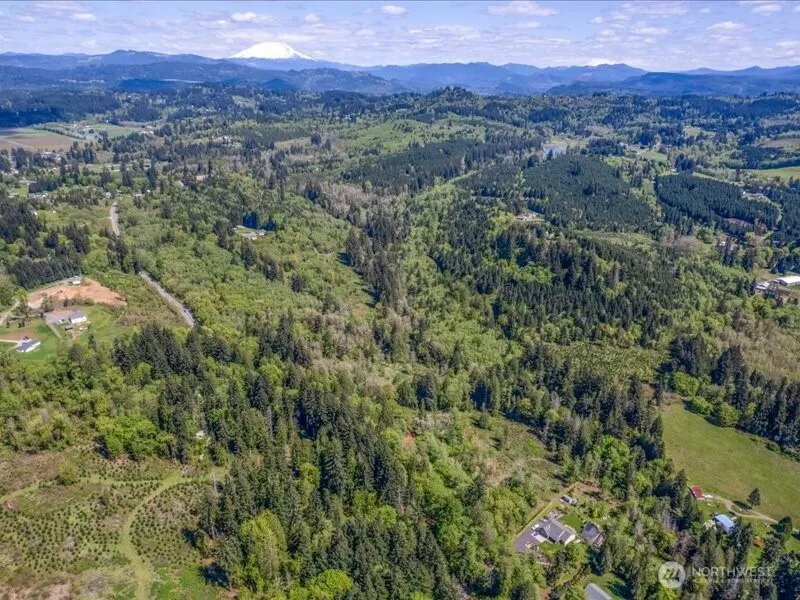 2 NE Lewisville Highway Yacolt, WA 98675