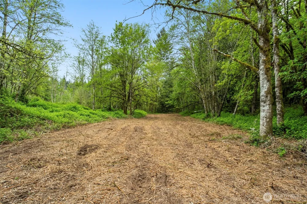2 NE Lewisville Highway Yacolt, WA 98675