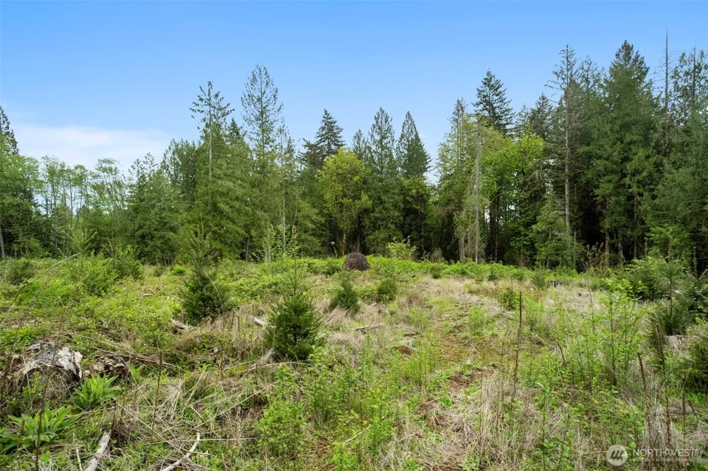 2 NE Lewisville Highway Yacolt, WA 98675