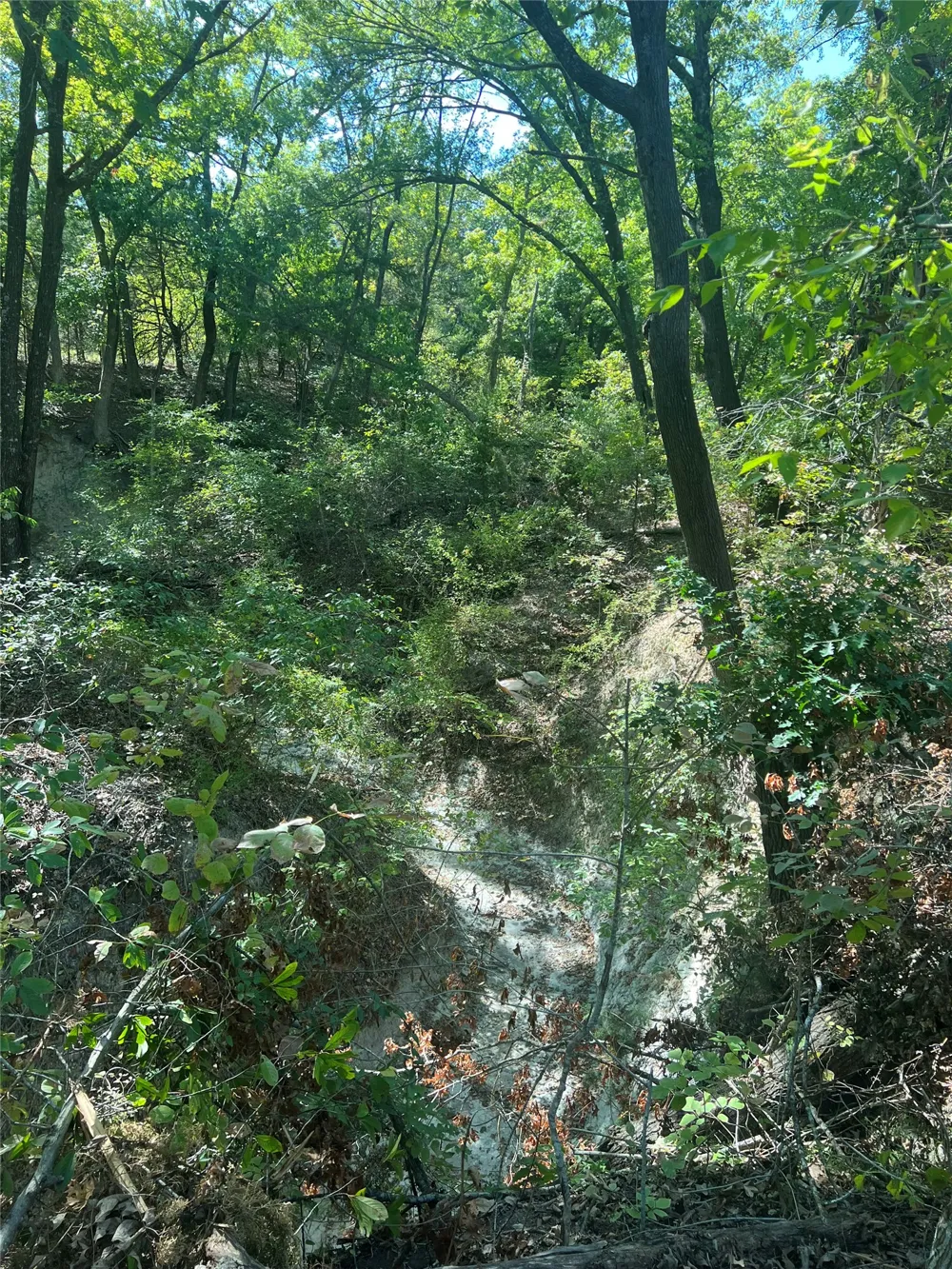 Rochelle Cannon Road Whitewright, TX 75491