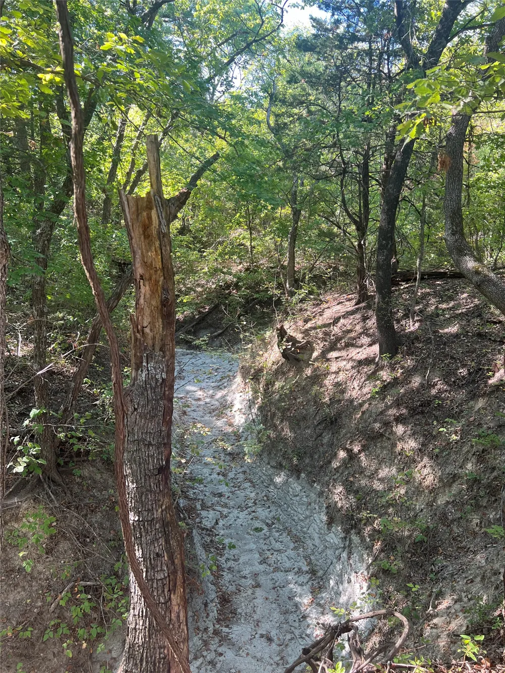 Rochelle Cannon Road Whitewright, TX 75491