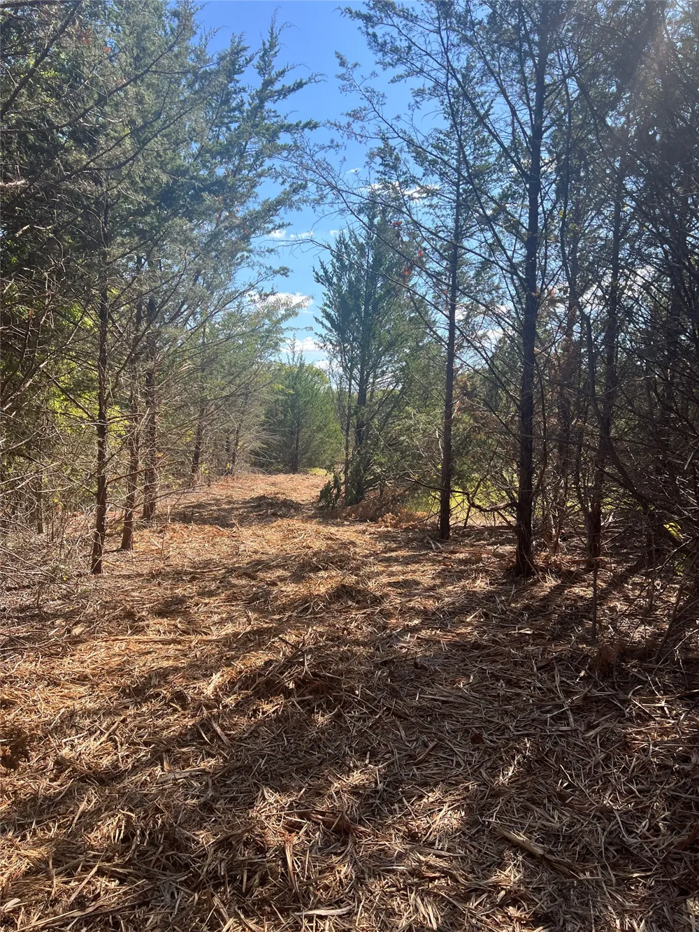 Rochelle Cannon Road Whitewright, TX 75491