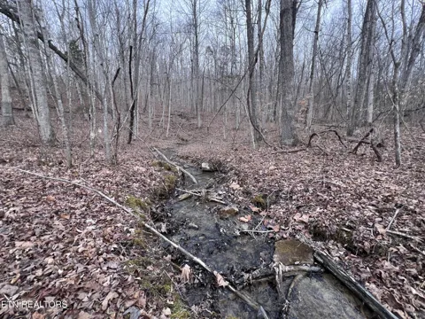 0 Buffalo Cove Lane