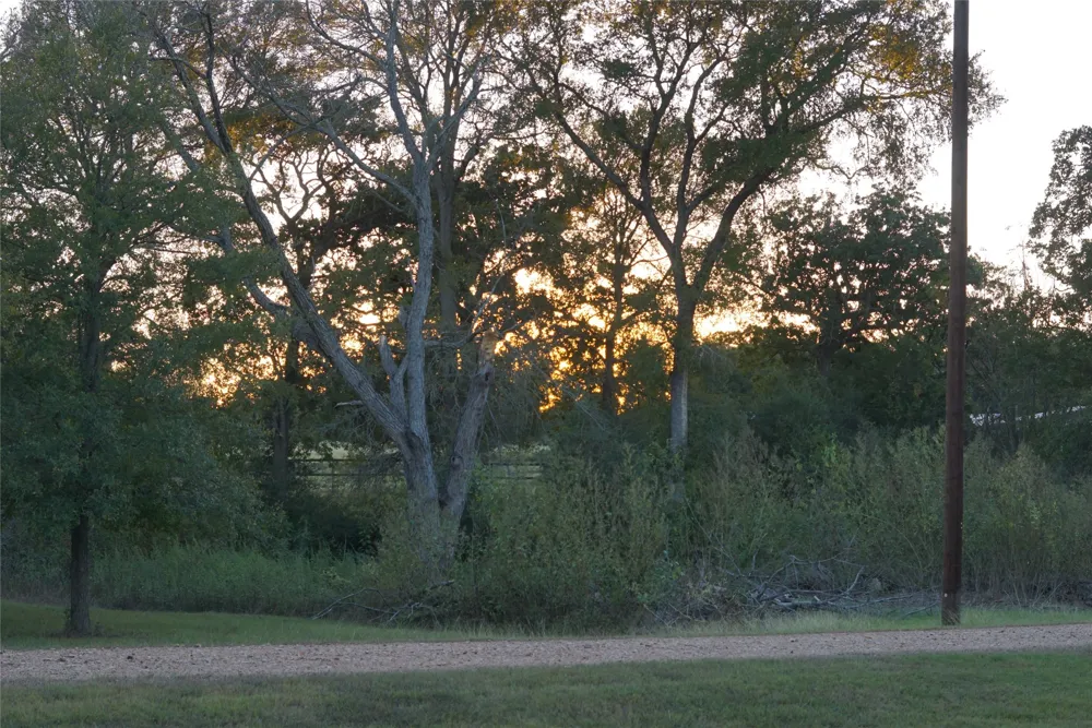 1135 Private Road 7039 Lexington, TX 78947