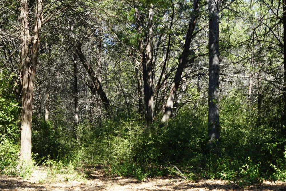 1135 Private Road 7039 Lexington, TX 78947