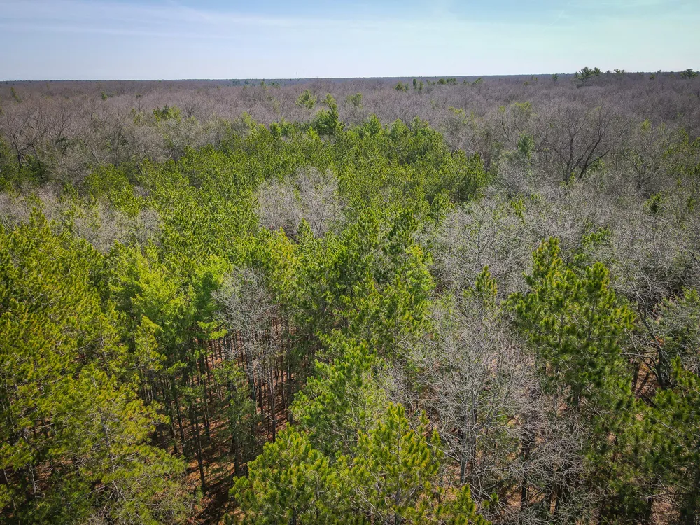 Hyde Park Road #3.39 A m/l Whitehall, MI 49461