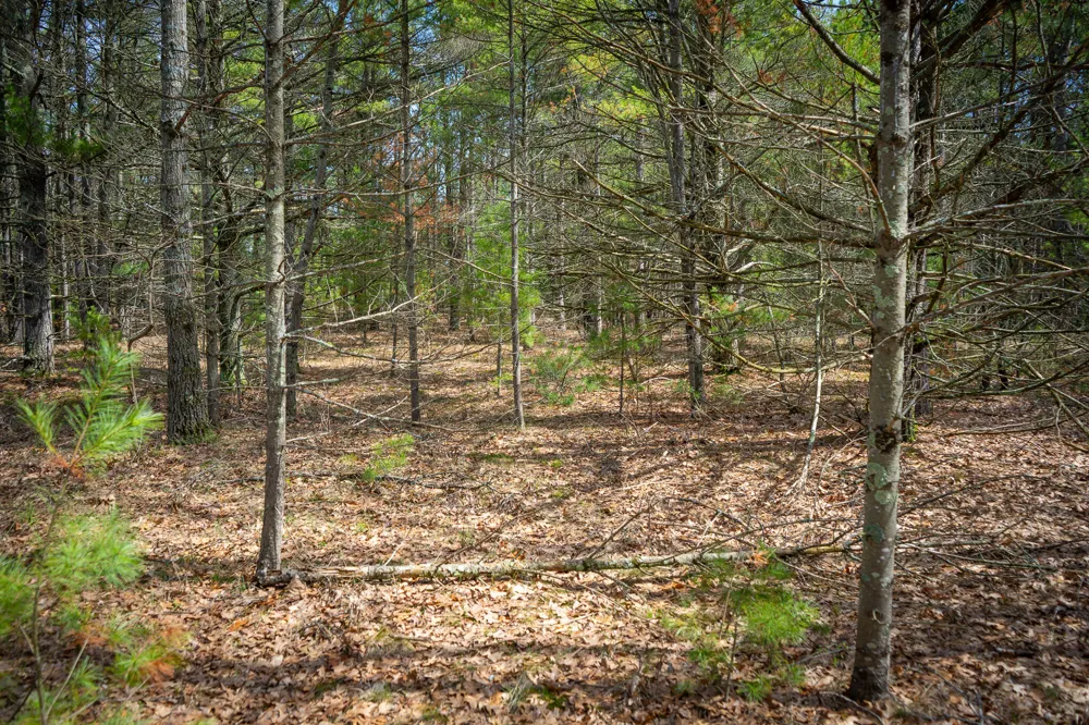 Hyde Park Road #3.39 A m/l Whitehall, MI 49461