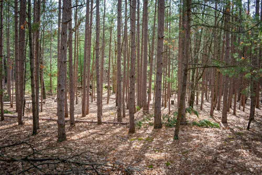 Hyde Park Road #3.39 A m/l Whitehall, MI 49461
