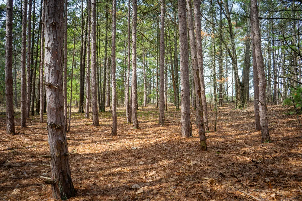 Hyde Park Road #3.39 A m/l Whitehall, MI 49461