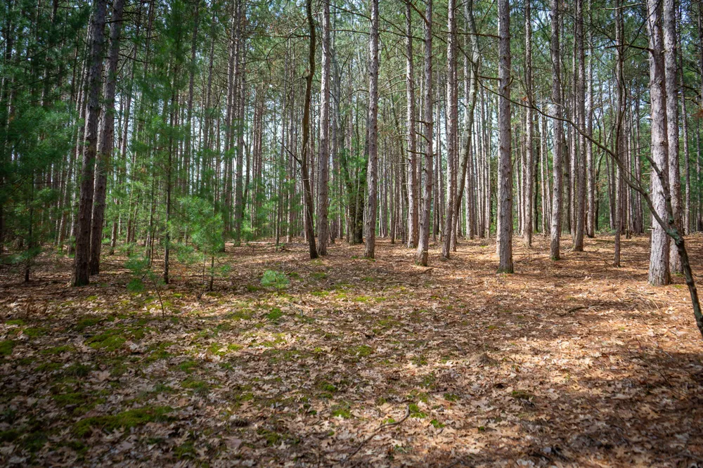 Hyde Park Road #3.39 A m/l Whitehall, MI 49461