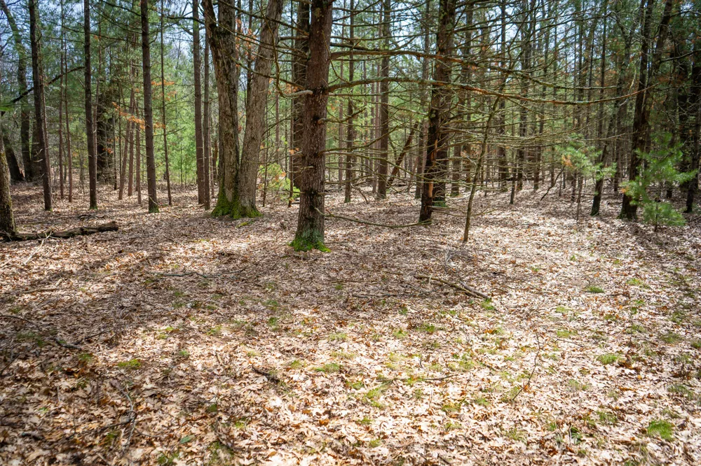 Hyde Park Road #3.39 A m/l Whitehall, MI 49461