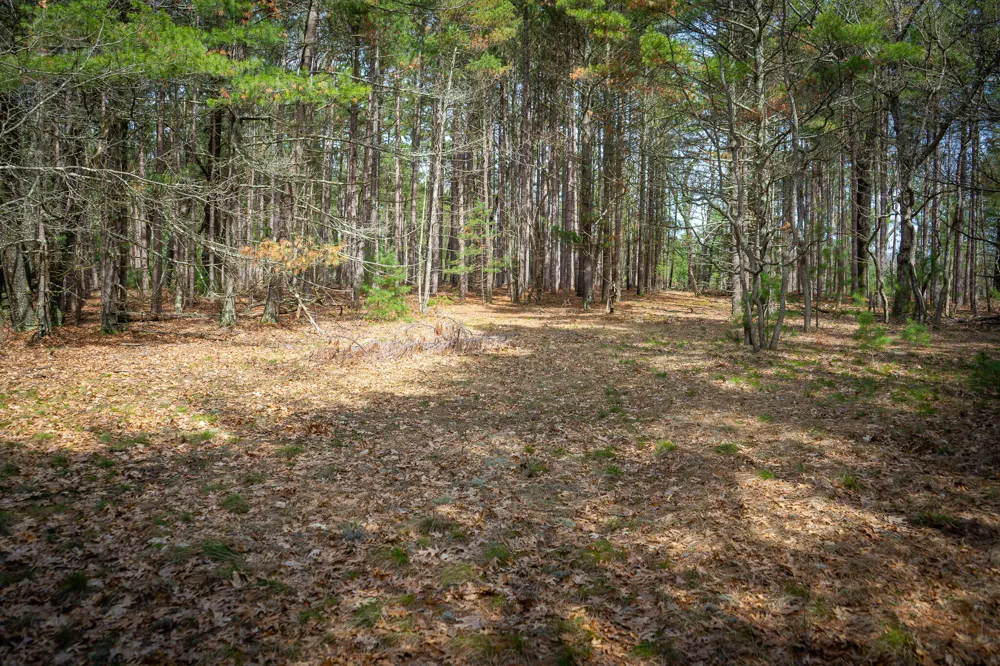 Hyde Park Road #3.39 A m/l Whitehall, MI 49461